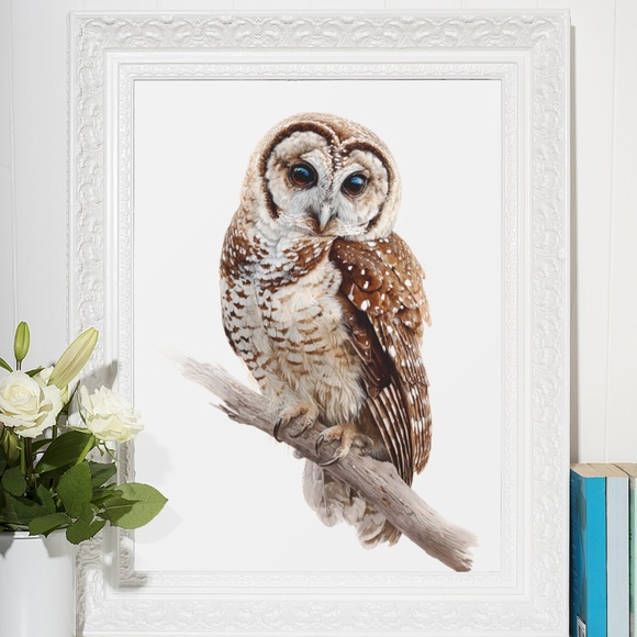 Watercolor Northern Saw-whet Owl Portrait Wall Art Print Poster, Unframed - Picture 6 of 6